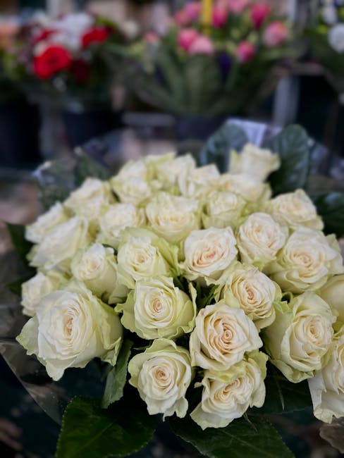 A bouquet of fresh, creamy white roses with tightly packed petals, arranged in a rounded cluster with dark green leaves interspersed, resting on a surface at a flower shop. The roses exhibit a velvety