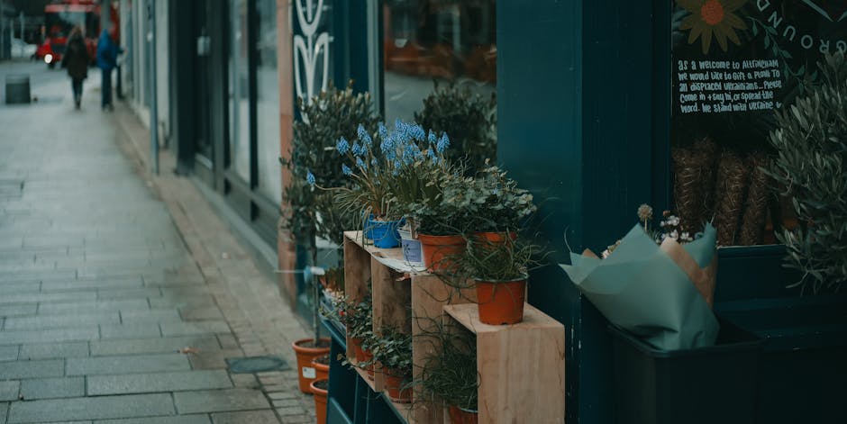 A display of potted plants with blue, green, and brown foliage arranged on wooden shelves outside a shop housed in a brick building, next to a window with reflective glass. The plants are in terracott