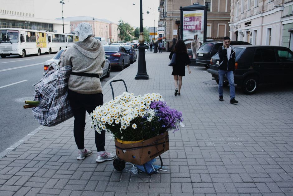 A woman stands on a city sidewalk next to a cart filled with fresh white daisies and purple chrysanthemums, holding a large plaid bag and a rolled-up item. The scene is set in Lewisham SE13, with park